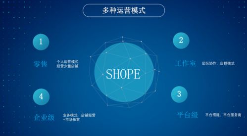 极速跨境ERP 无货源铺货模式下的版本权限解析与适用场景指南