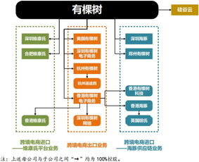 有棵树836586.OC 深度布局跨境电商全产业链，打造全球商品流通体系与极速跨境ERP